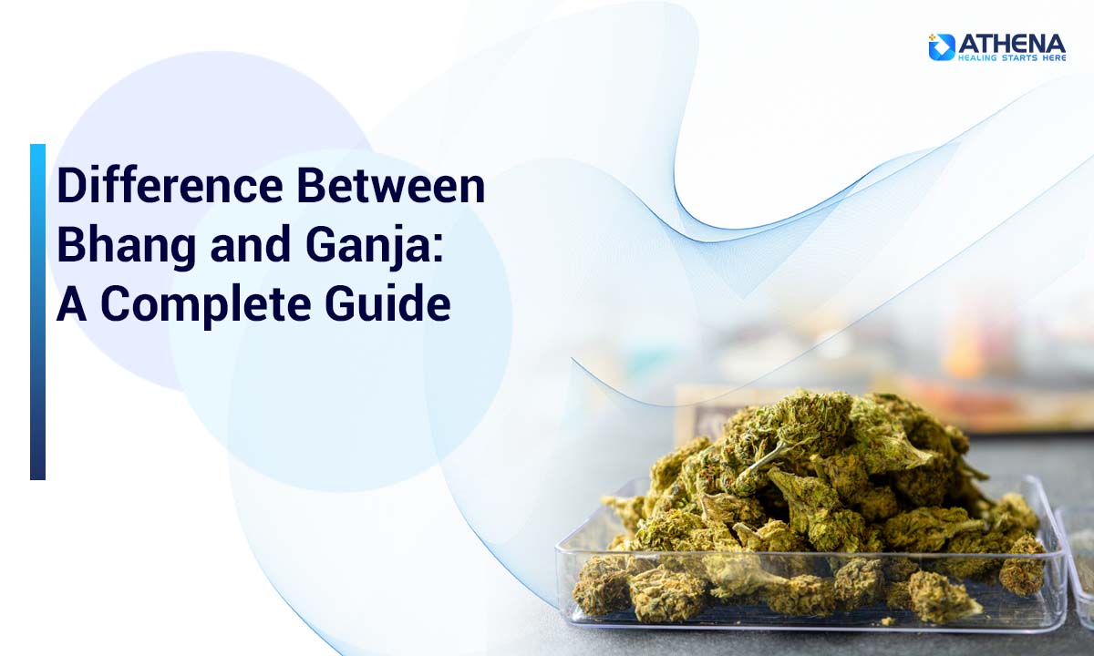 Difference Between Bhang and Ganja: A Complete Guide