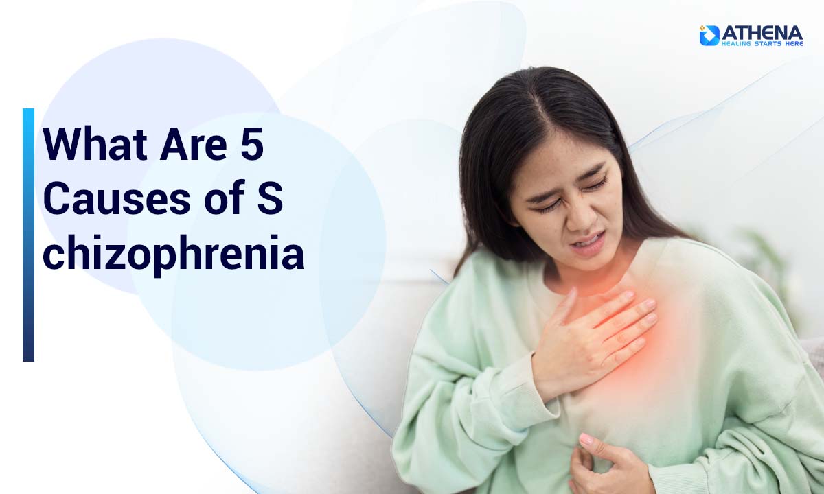 what are 5 causes of schizophrenia