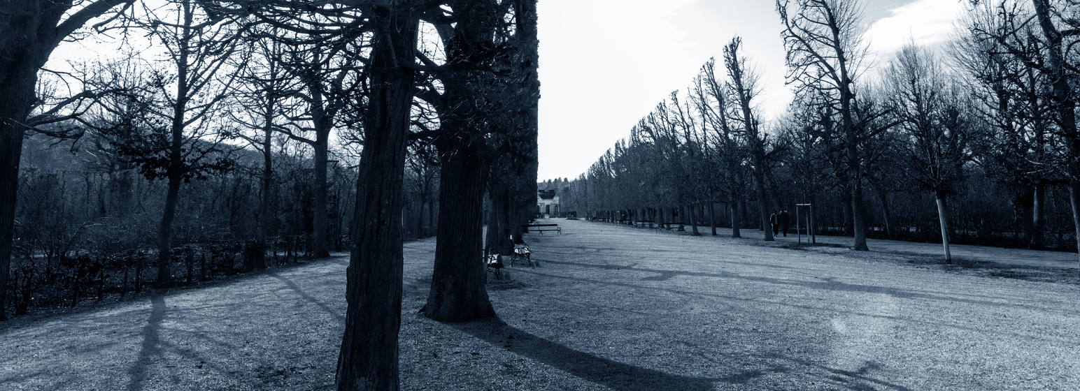 PTSD and addiction dual diagnosis treatment specialist consultation