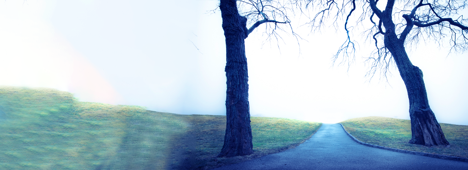 Dual diagnosis depression and addiction treatment specialist consultation